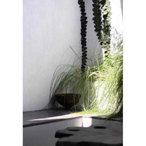Tropius Homestay