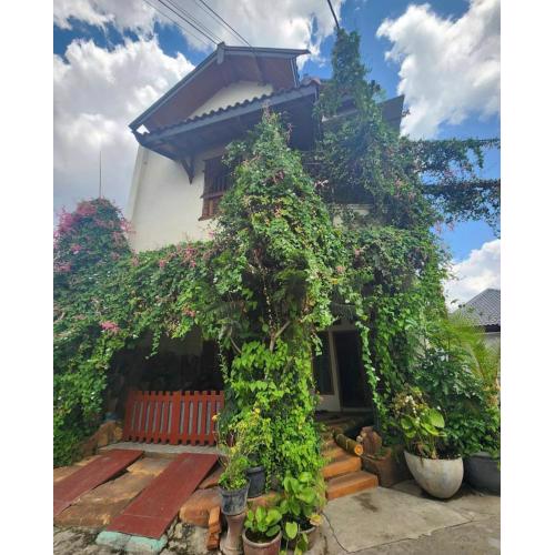 Tumungkul Homestay