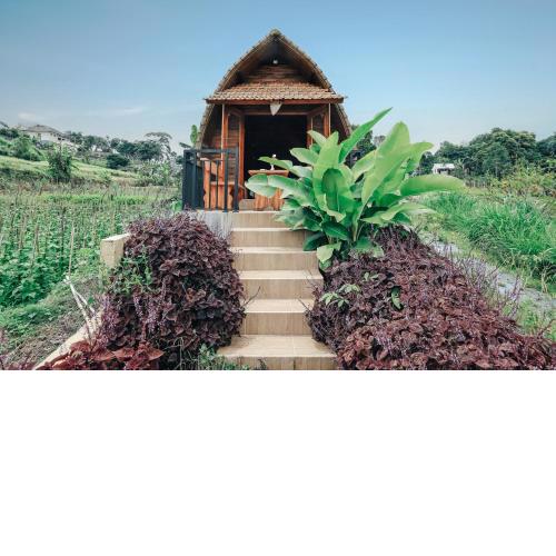 Tunjung Sari Villa Bedugul