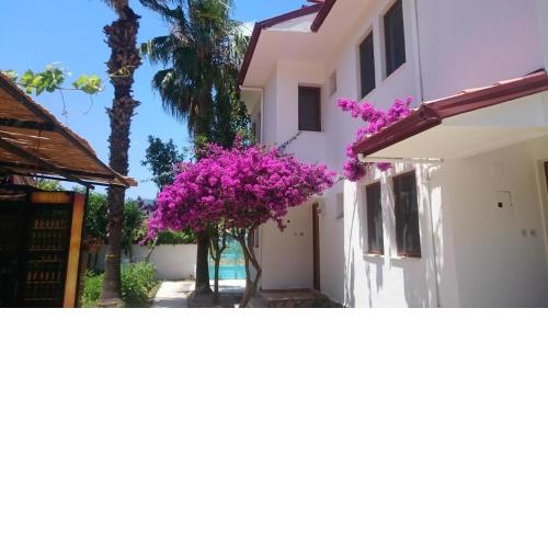 Turtle Beach Bungalows