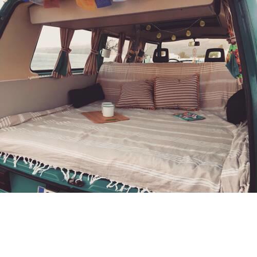 Turtles Van