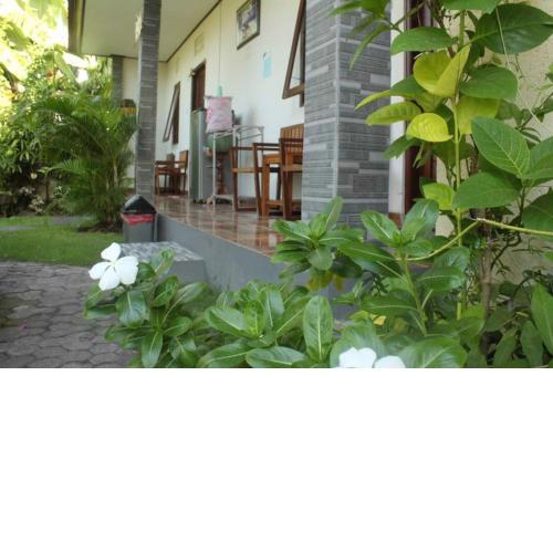 Twins Homestay