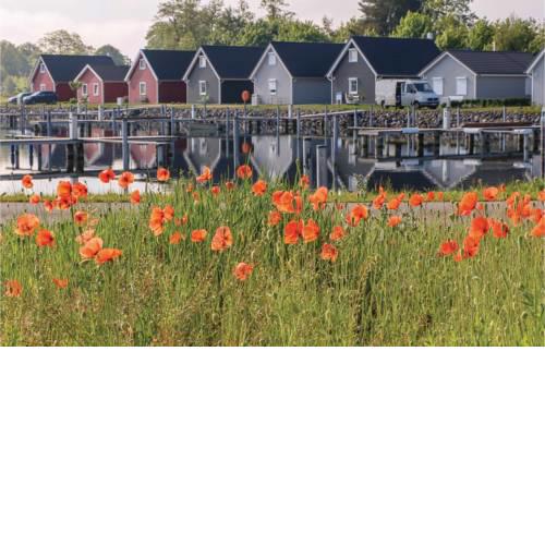 Two-Bedroom Holiday Home in Zerpenschleuse
