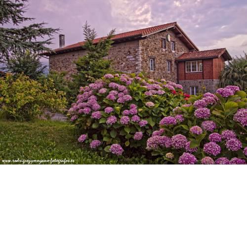 Txerturi-Goikoa
