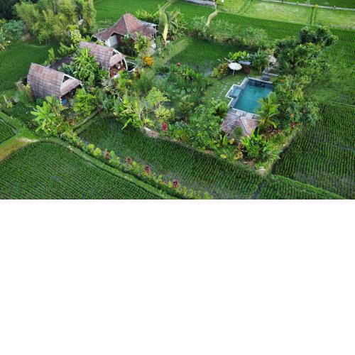 Ubud Leke Leke House Tegallalang