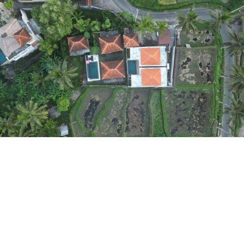 Ubud nadi villa