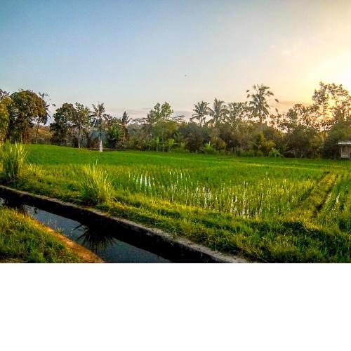 Ubud Paradise Villa
