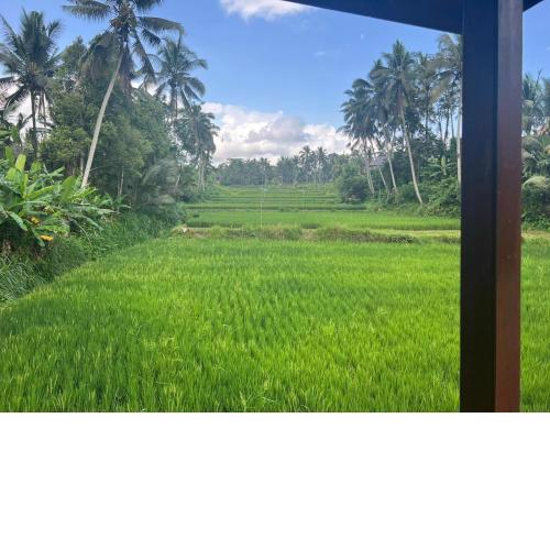 Ubud Sawah Scenery Villa and Homestay