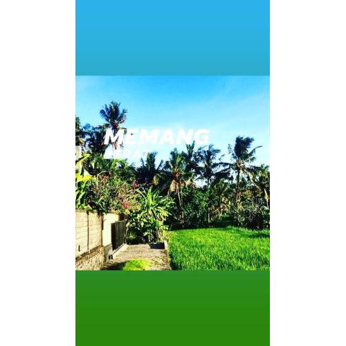 UDA HOUSE SABA BEACH