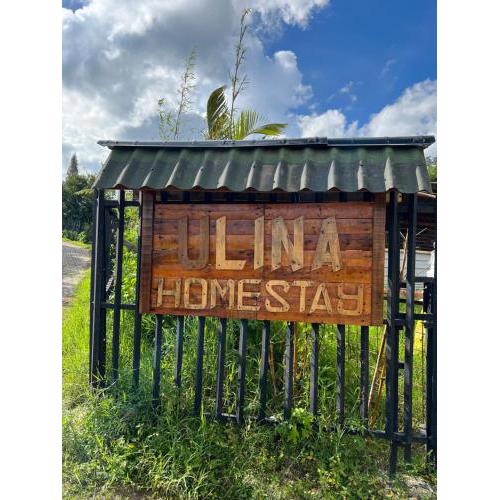 Ulina Homestay Berastagi