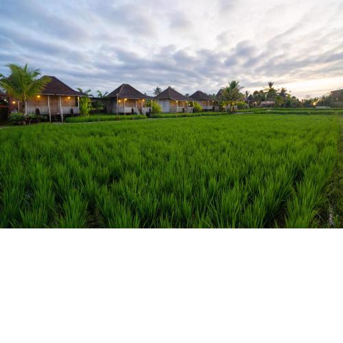 Uma Sebatu Villa