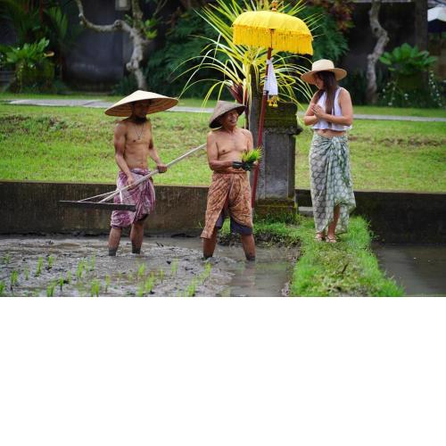 Umae Villa Ubud