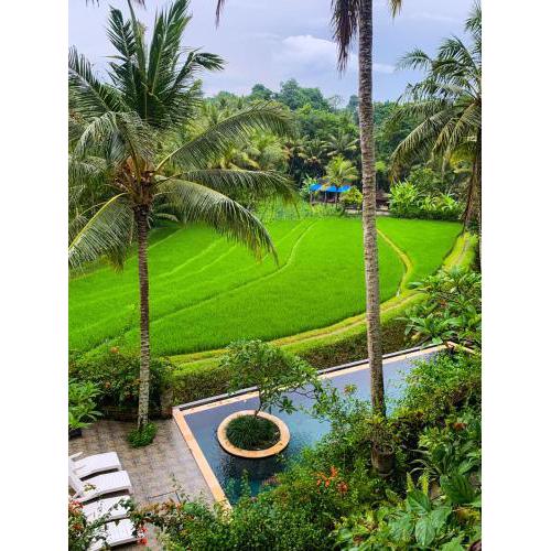 Umasari Rice Terrace Villa