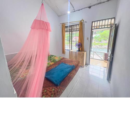 Umi yuki guesthouse and jungle tour
