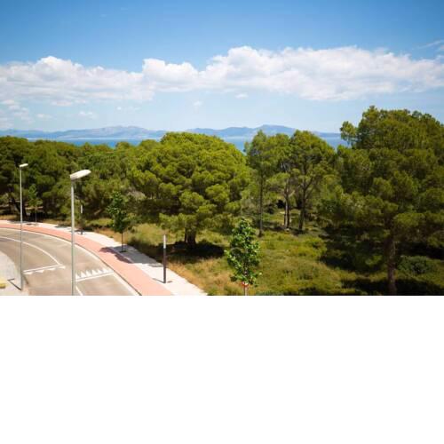 Una Terraza con olor a pinos y vistas al Mar