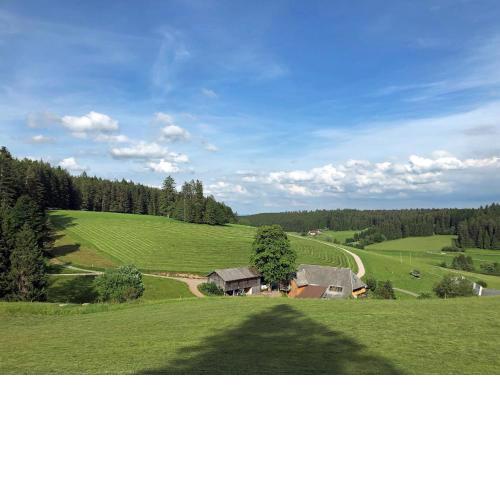 Unter der Linde