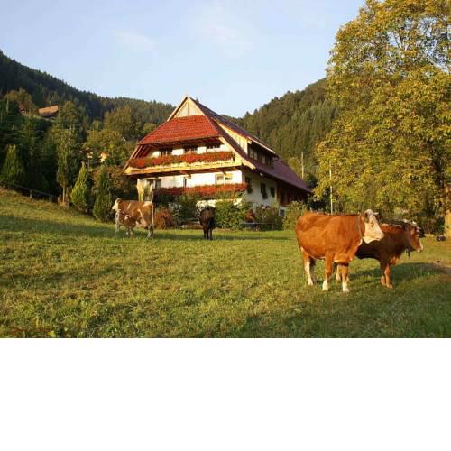 Unterer Gurethshof