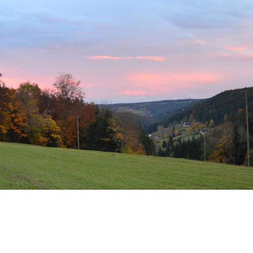 Unterfalkenhof