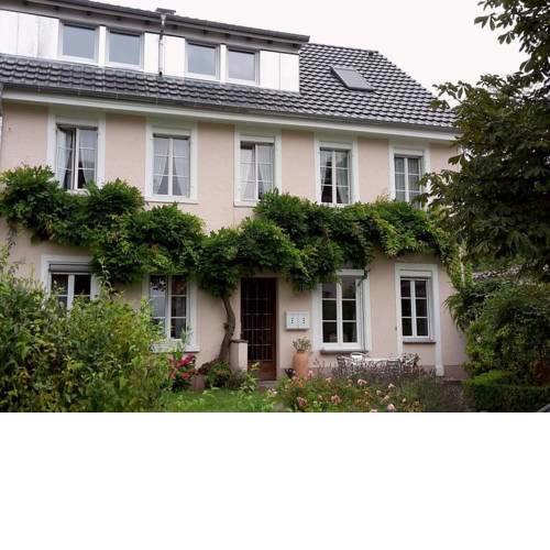 Unterm Blauregen