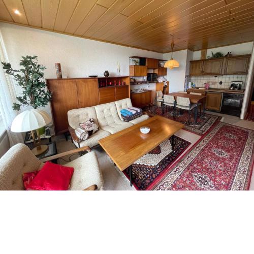 Urige Ferienwohnung Bocksbergblick Ferienpark Hahnenklee