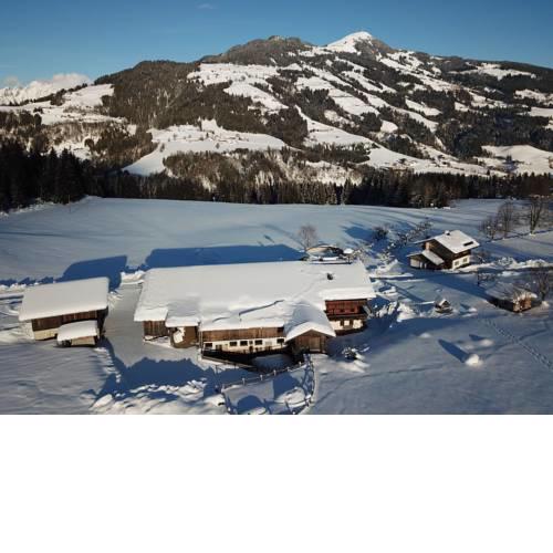 Urlaub am Bio-Bauernhof Achrainer-Moosen Alpenrose