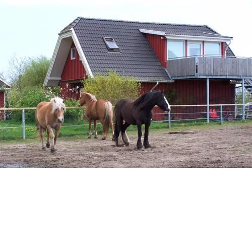 Urlaub auf dem Bauernhof