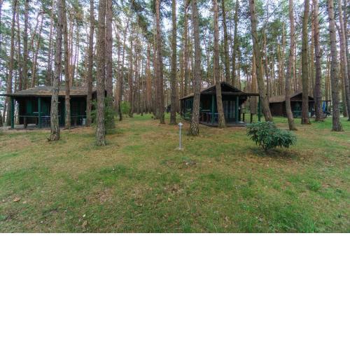 Urlaub im Bungalow - mitten im Wald