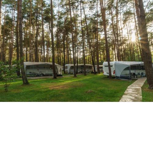 Urlaub im Wohnwagen mitten im Wald