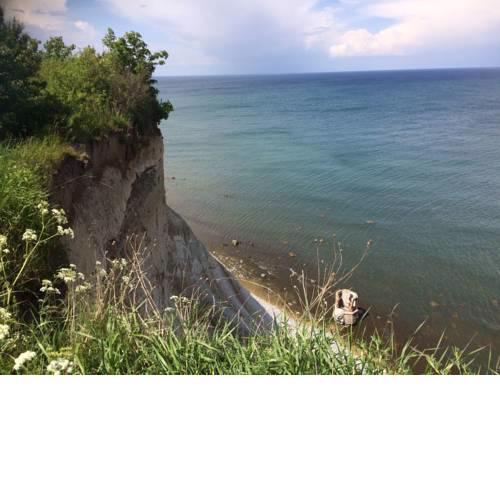 Urlaub unter Reet