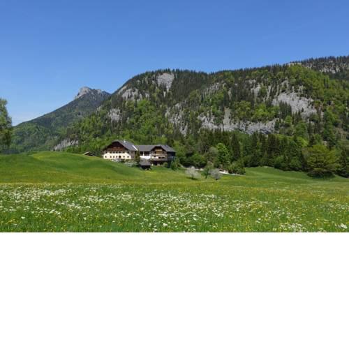 Urlauben im Grünen