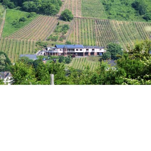 Urlaubsweingut Zecherhof