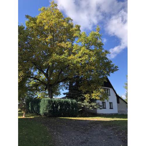 Útulná chaloupka v Krkonoších