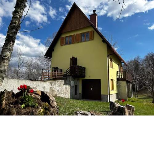 Vacation house Polane