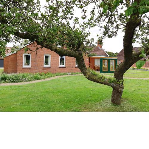 Vakantiehuis de Groene Serre