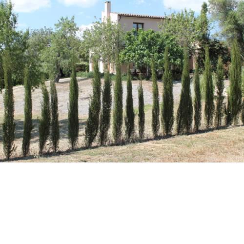 Vall d'Arpes