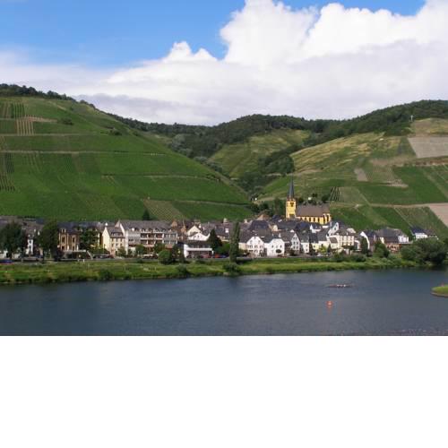 Veganhotel Nicolay 1881