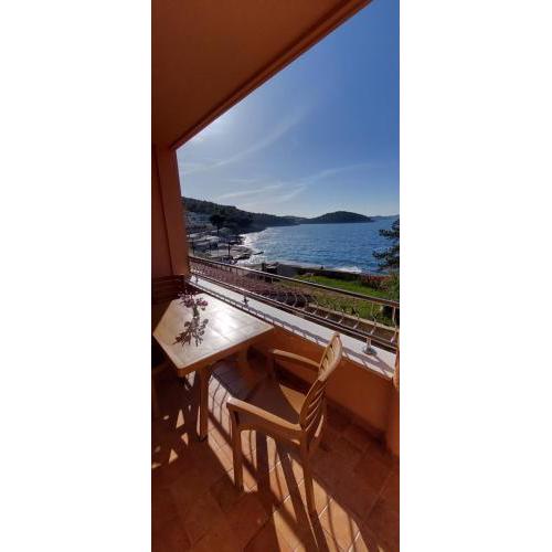 VELO JEDRO Apartmani PUNTA