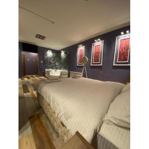 Vera Suite