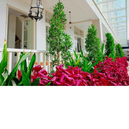 Victoria Boutique Residence