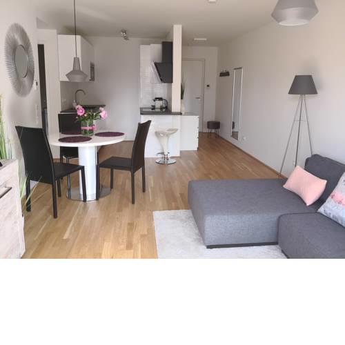 Vienna City Apartment