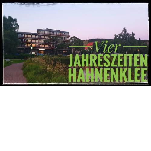 Vier Jahreszeiten, Appartment 723, Hahnenklee - Bockswiese