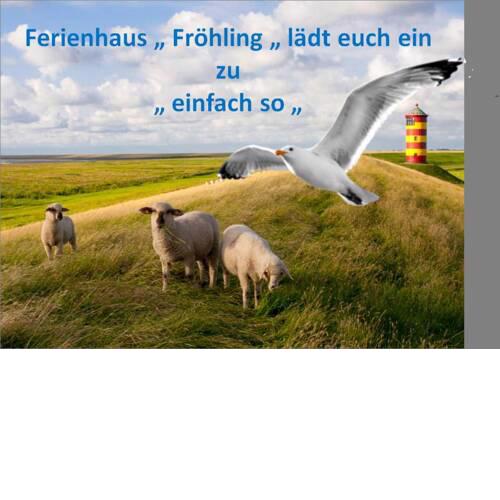 Vier Sterne Ferienwohnungen