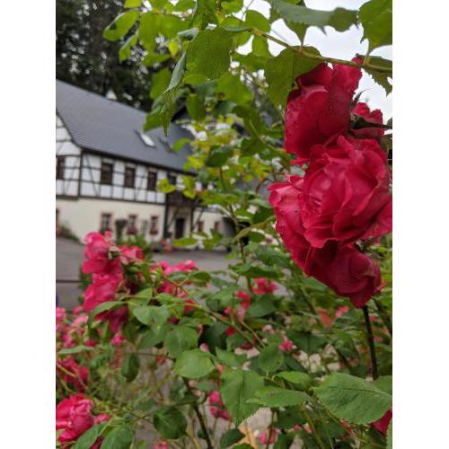 Viertel's Mühle