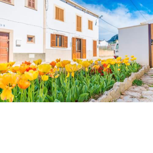 Vila Ca Shermano