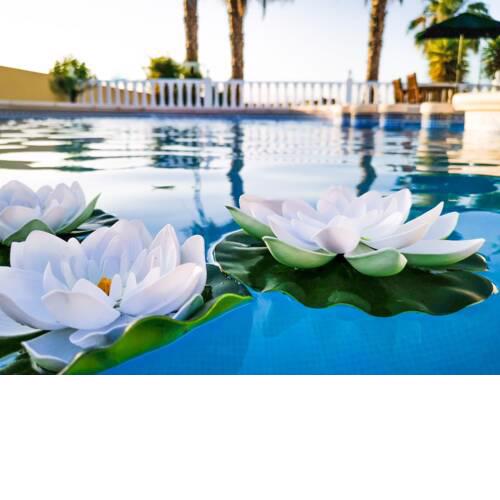 Villa 98 Bed & Breakfast
