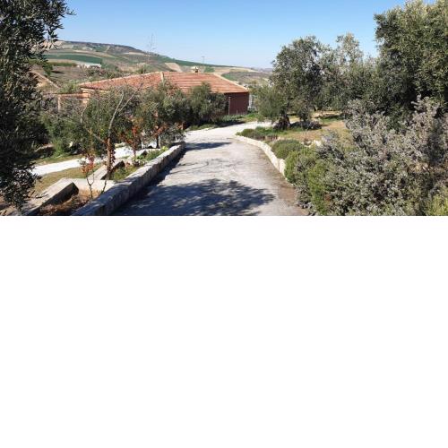 Villa Alhama
