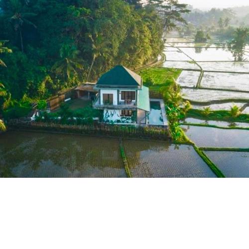 villa aline