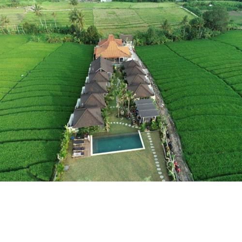 Villa Alisha Pererenan Canggu