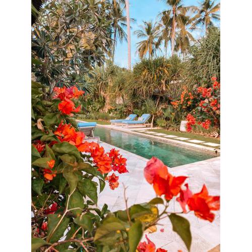 Villa Amani, tropical chic - 3 bedroom & huge pool
