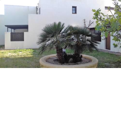 Villa andalouse bord de mer ER KORTIJILLO